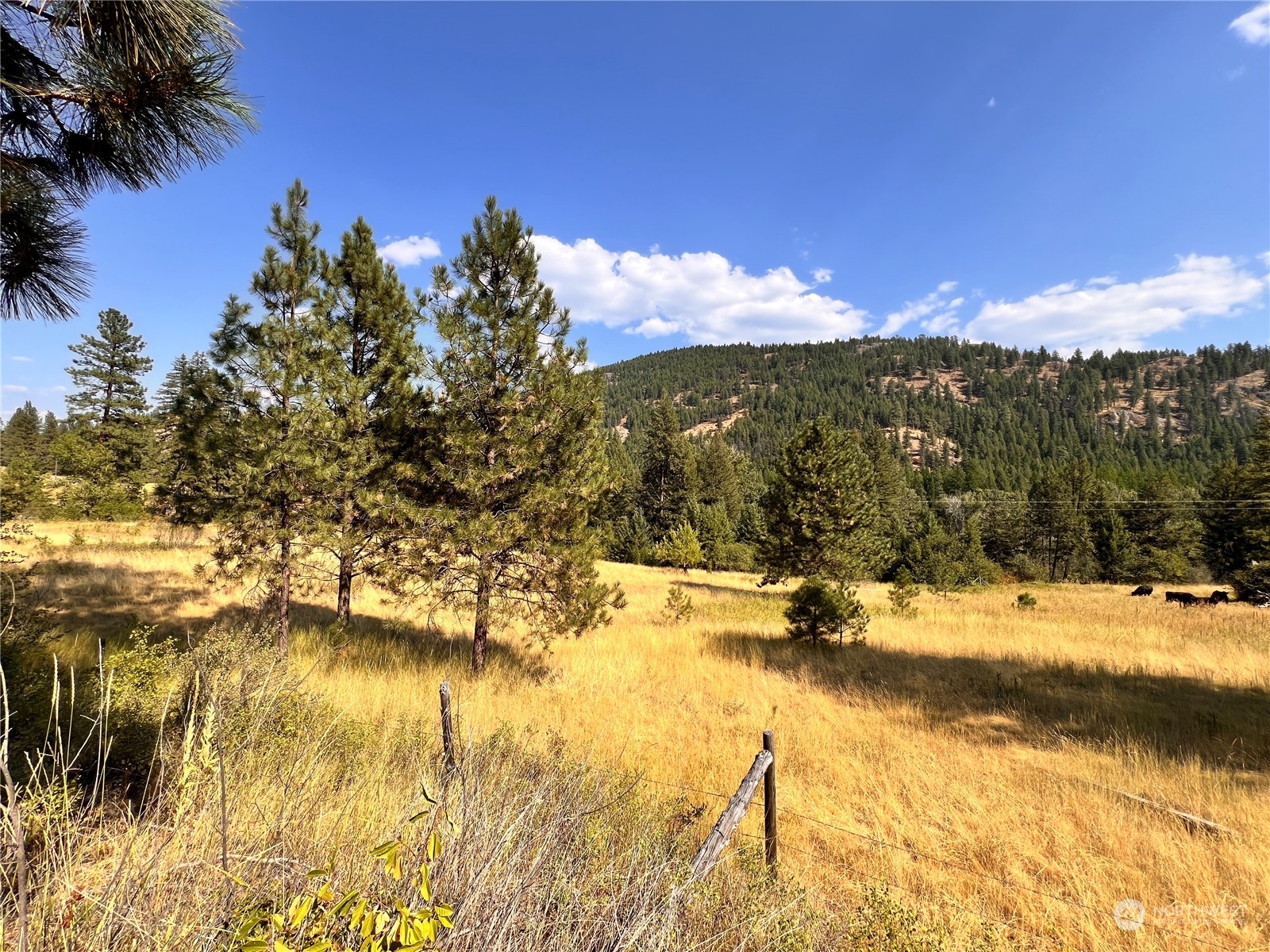 -tbd Little Goosmus Road Curlew, WA 99118 - Photo 16 of 26 Gallery Image 16