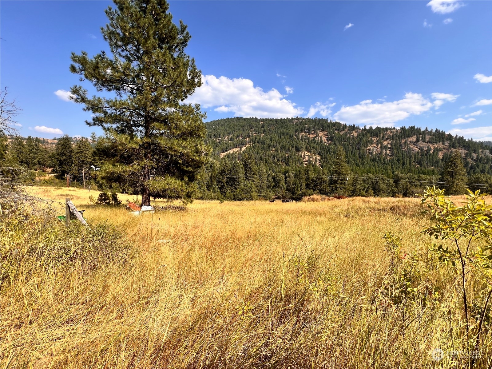 -tbd Little Goosmus Road Curlew, WA 99118 - Photo 17 of 26 Gallery Image 17