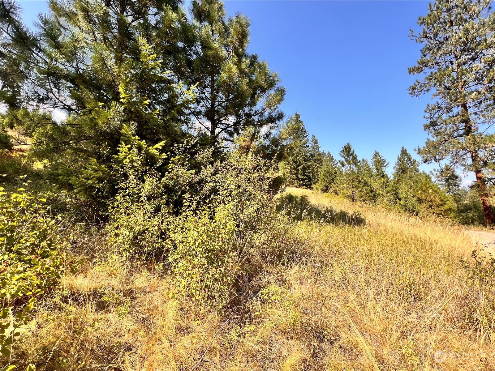 -tbd Little Goosmus Road Curlew, WA 99118 - Photo 19 of 26 Gallery Image 19