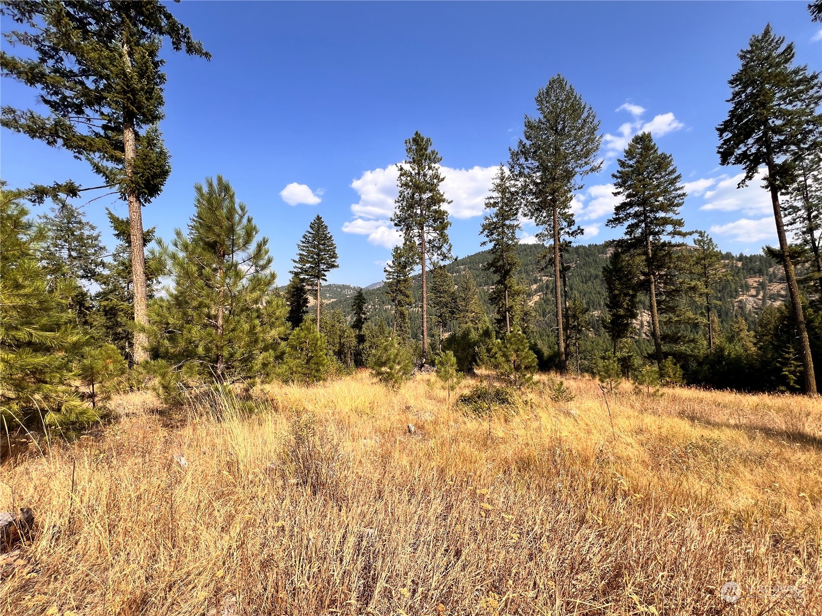 -tbd Little Goosmus Road Curlew, WA 99118 - Photo 2 of 26 Gallery Image 2