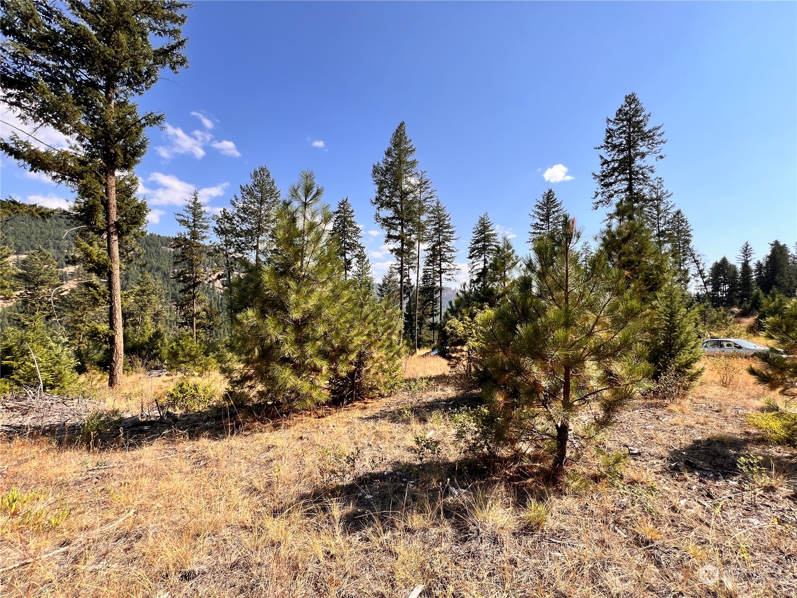 -tbd Little Goosmus Road Curlew, WA 99118 - Photo 23 of 26 Gallery Image 23