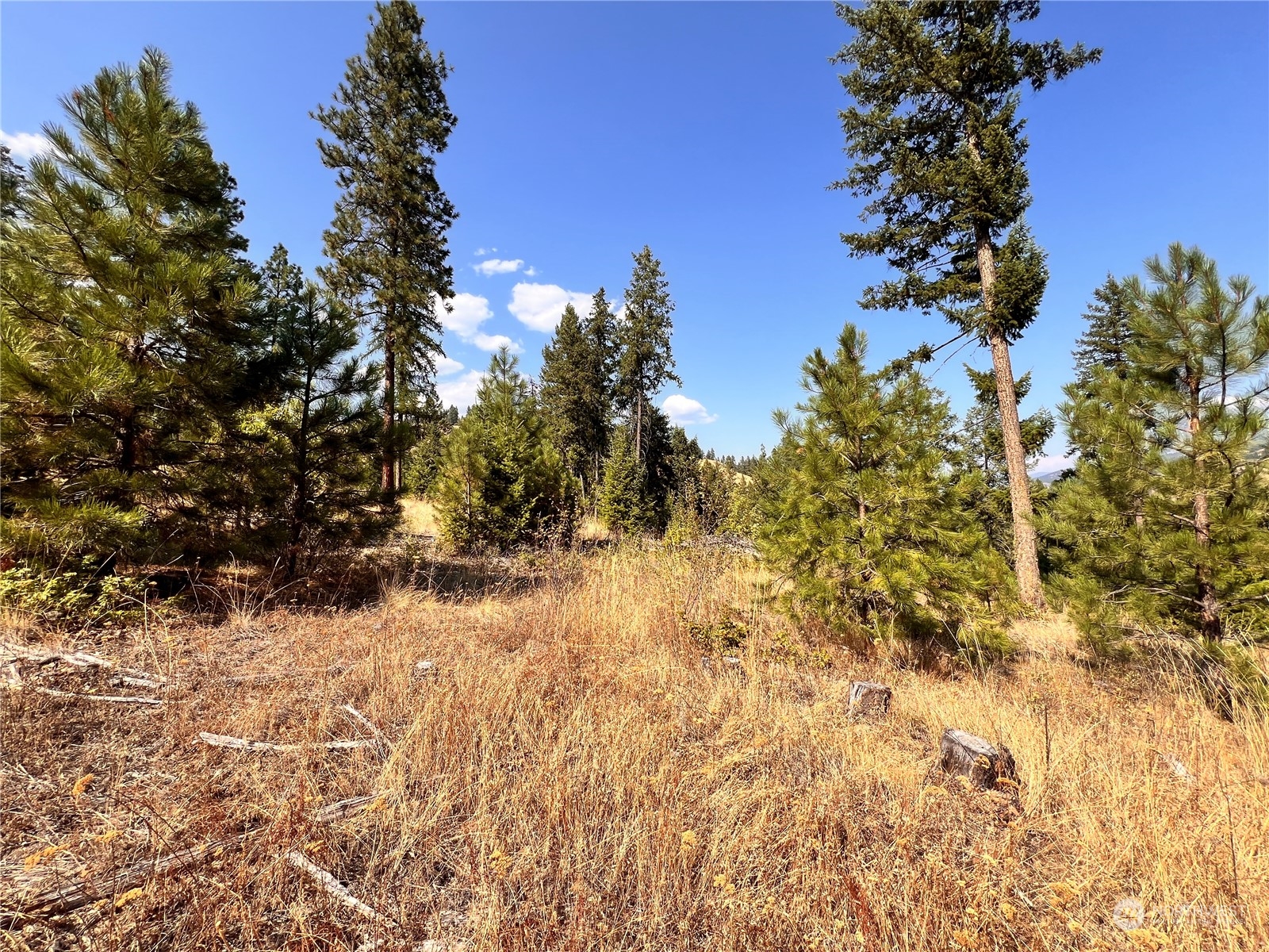 -tbd Little Goosmus Road Curlew, WA 99118 - Photo 24 of 26 Gallery Image 24