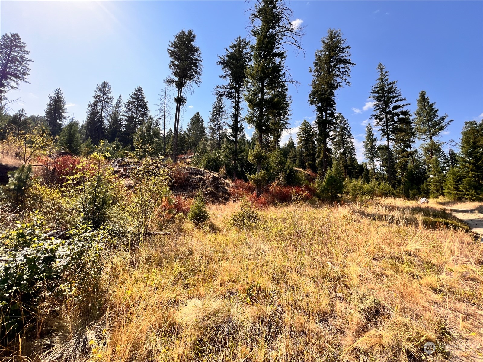 -tbd Little Goosmus Road Curlew, WA 99118 - Photo 26 of 26 Gallery Image 26