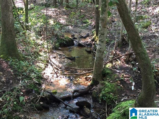 40-acres Oaks Chapel Road, Unit 40 ACRES Goodwater, AL 35072 - Photo 7 of 8