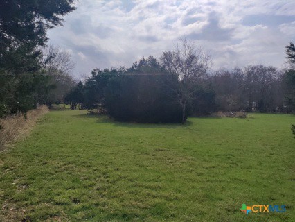 2917 Willow Loop Kempner, TX 76539 - Photo 3 of 12