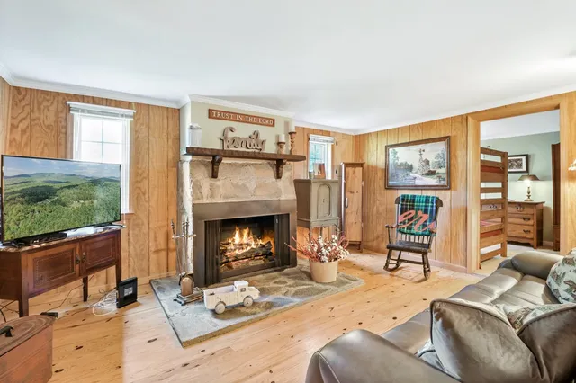 a view of a forest with a street