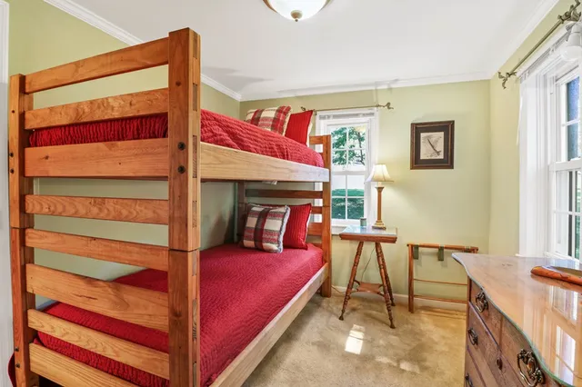 a view of a plant in a garden