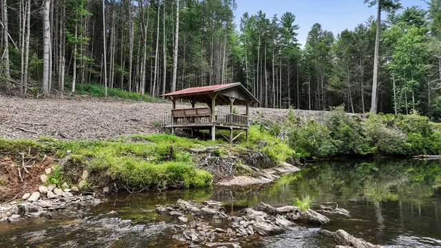 a view of field with tall trees