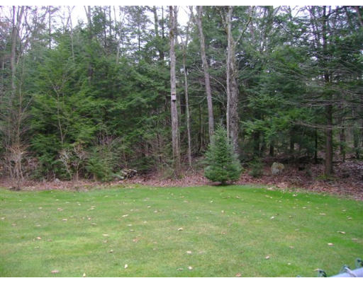 82 Wheeler Road Princeton, MA 01541 - Photo 24 of 25 a view of a backyard with a small cabin