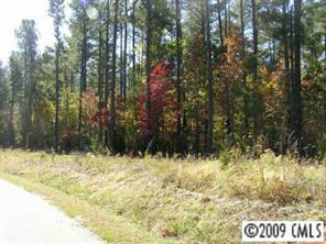 Lot 1 Sierra Road, Unit 1 York, SC 29745 - Photo 8 of 8 Gallery Image 8