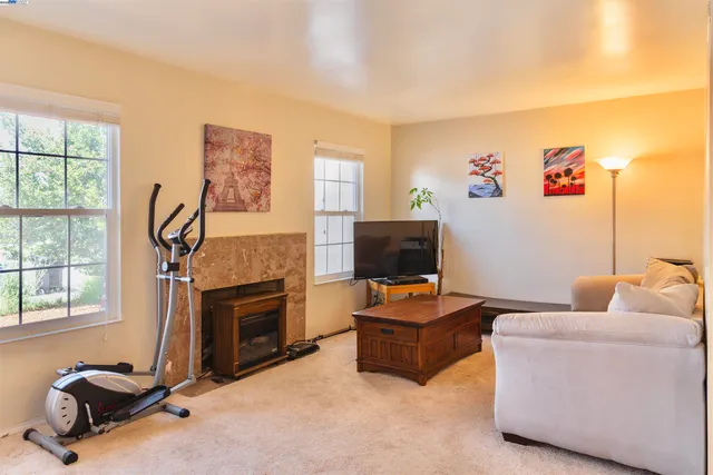 a living room with furniture a flat screen tv and a fireplace
