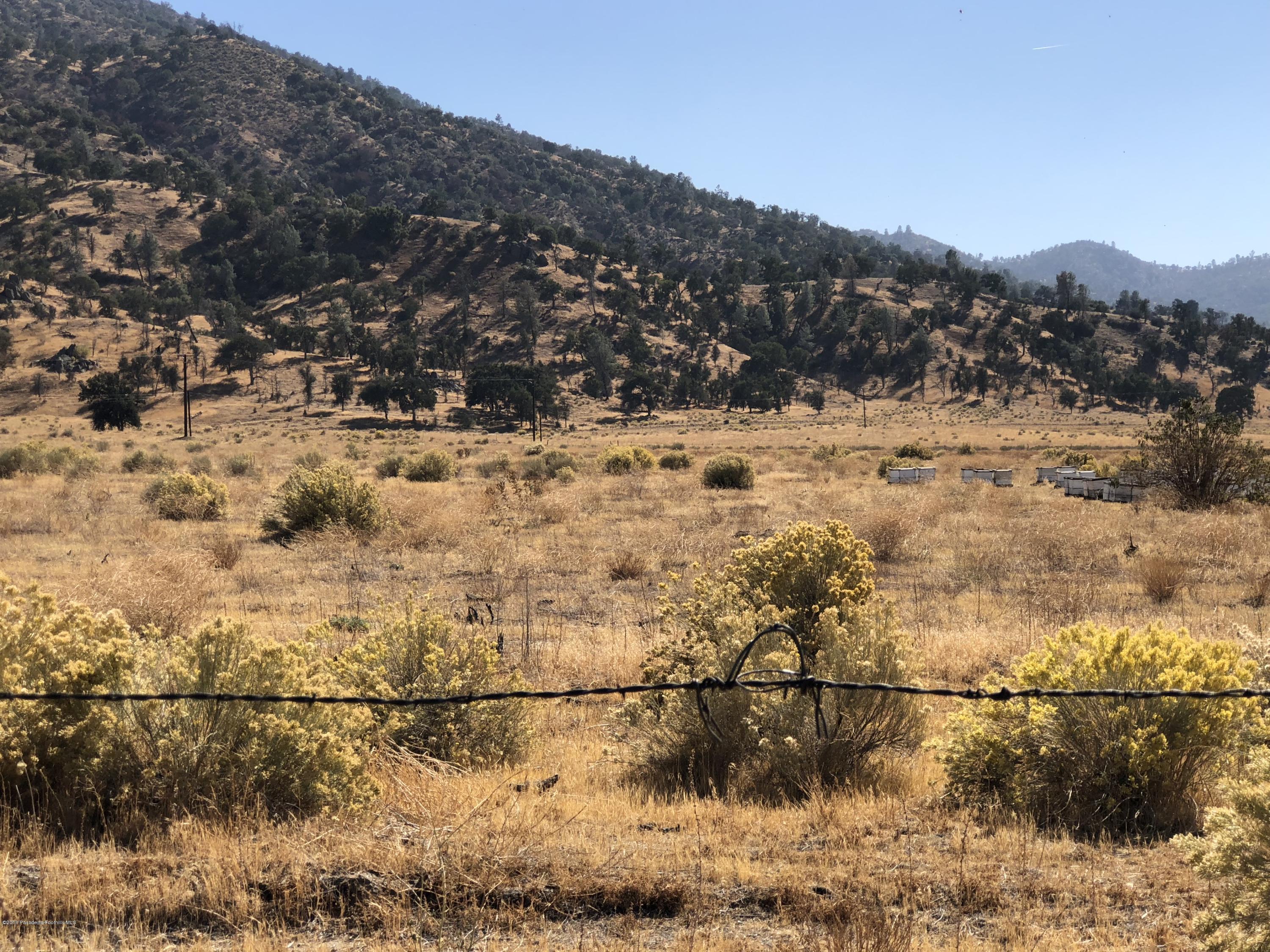 0 Walker Basin Road Caliente, CA 93518 - Photo 9 of 10 IMG_2710