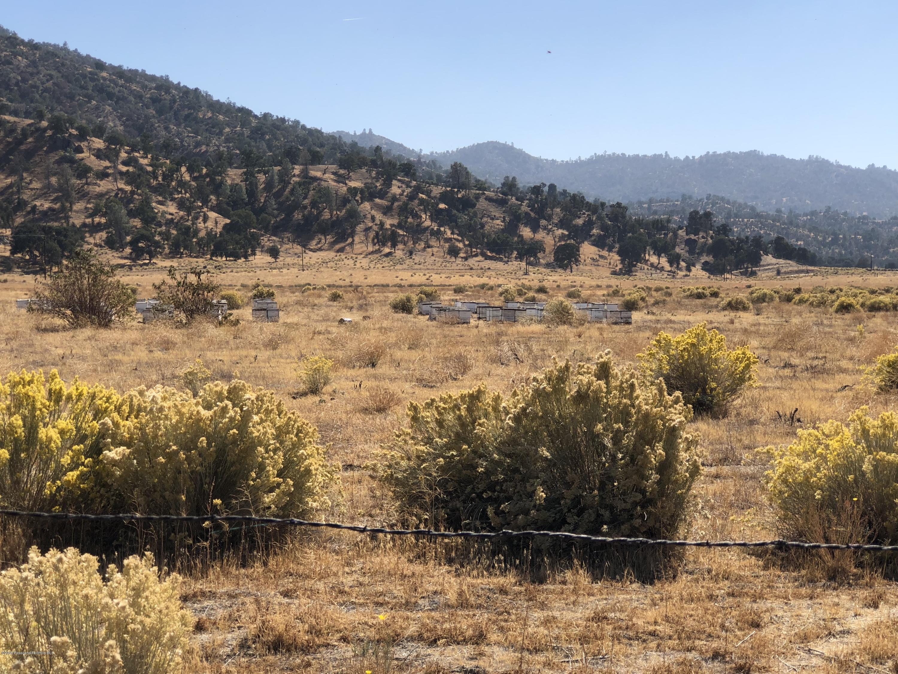 0 Walker Basin Road Caliente, CA 93518 - Photo 10 of 10 IMG_2711