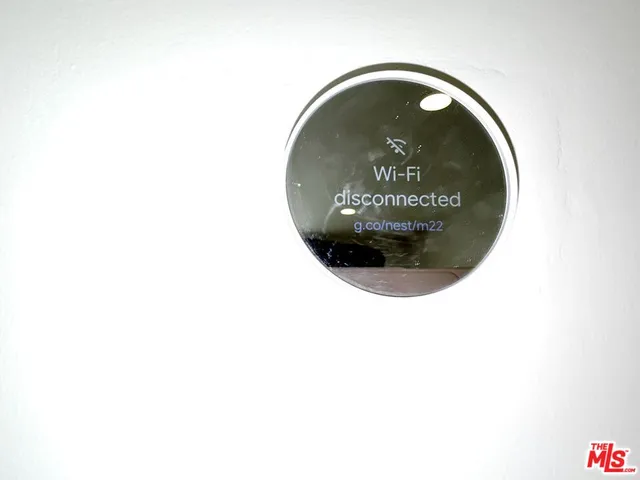 a picture of a plant