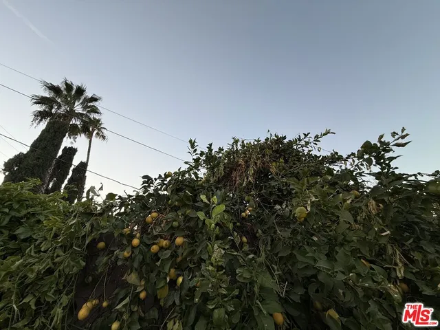 $4,700 | 23744 Hartland Street, West Hills, CA 91307