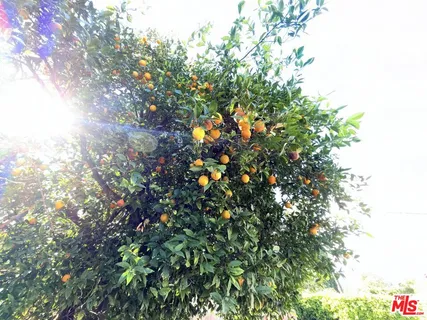 $4,700 | 23744 Hartland Street, West Hills, CA 91307