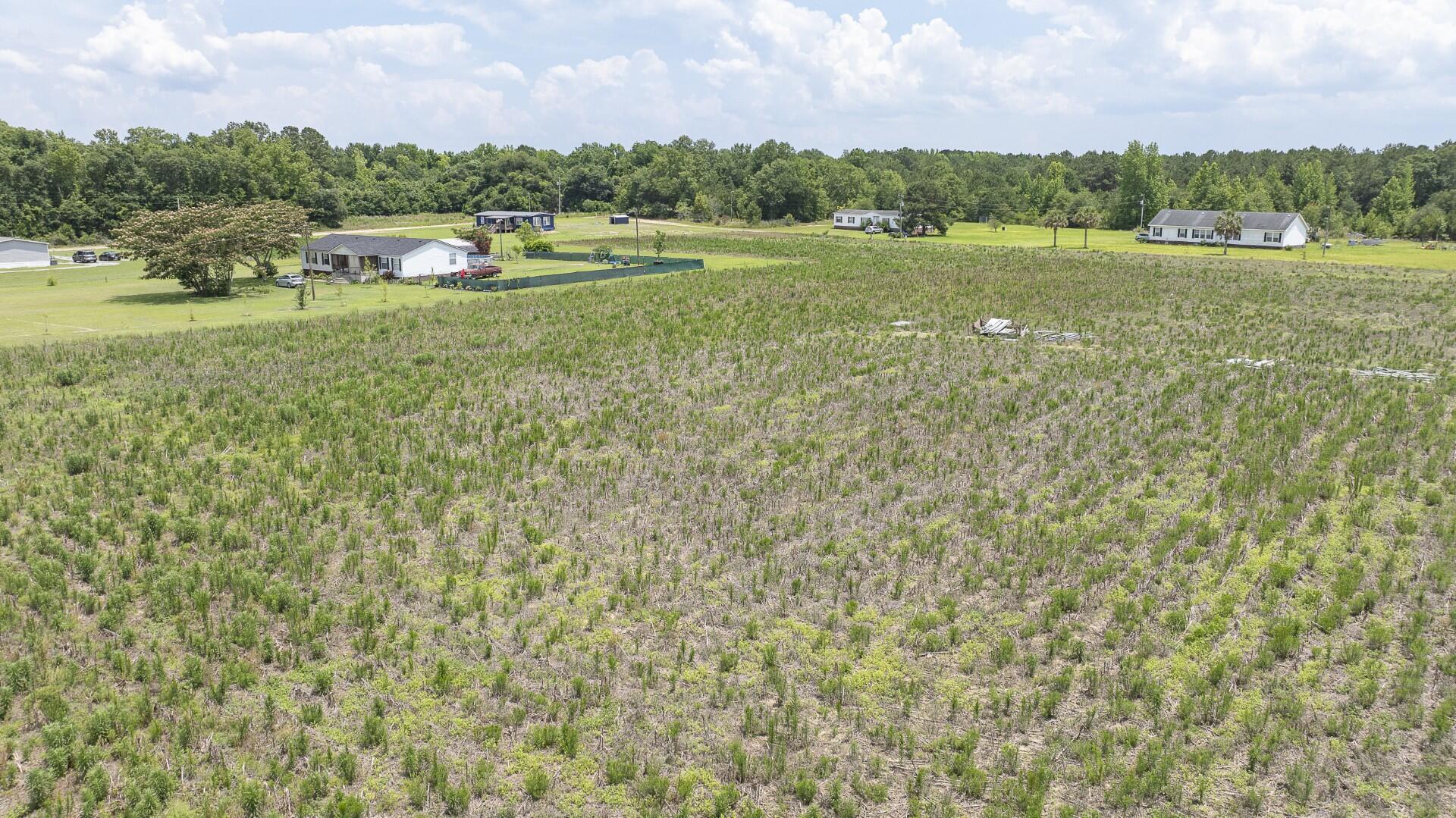 2 Joseph Lemon And Dingle Road Manning, SC 29102 - Photo 2 of 44