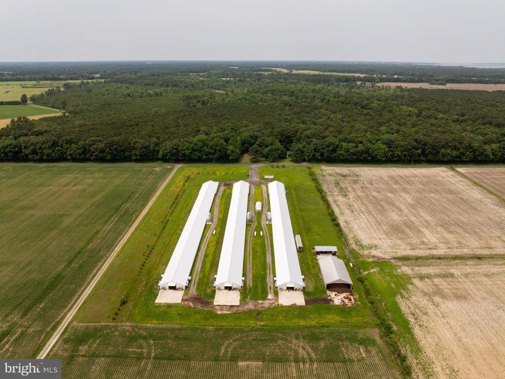 Beaver Neck Village Road Cambridge, MD 21613 - Photo 3 of 10