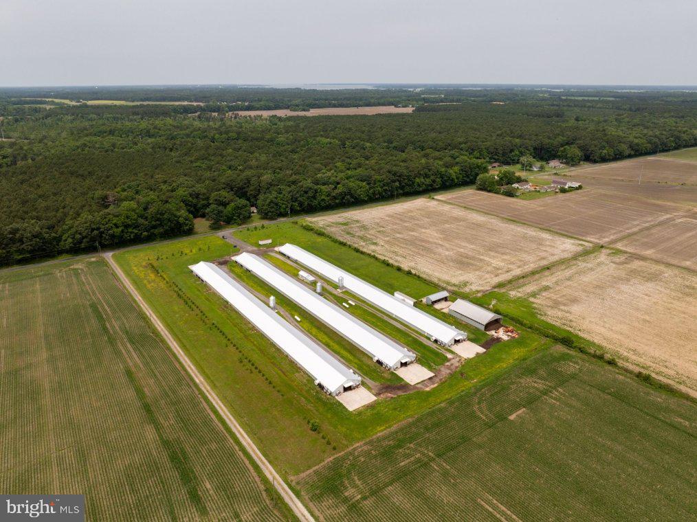 Beaver Neck Village Road Cambridge, MD 21613 - Photo 4 of 10
