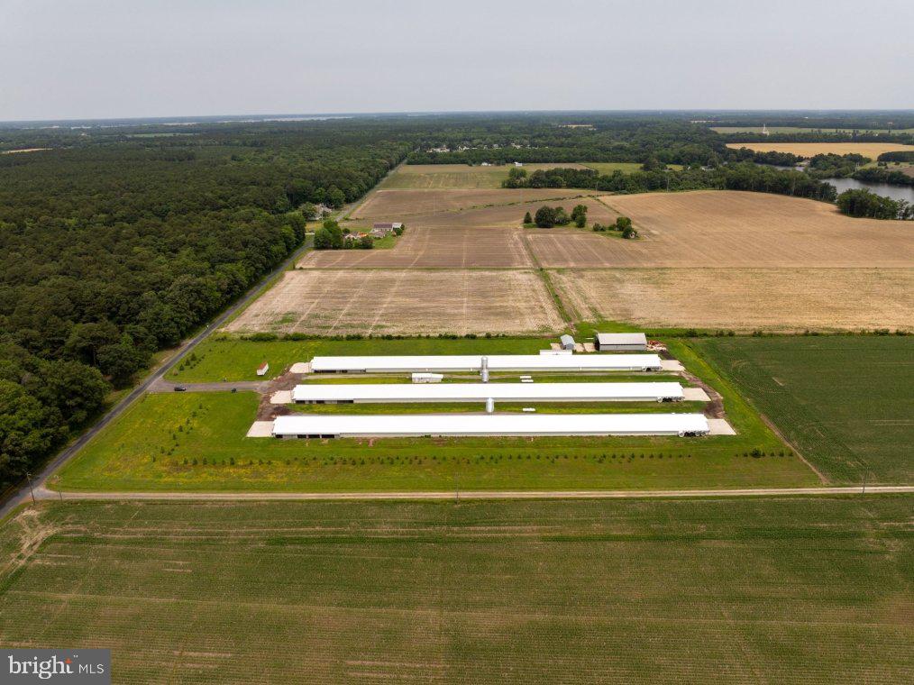 Beaver Neck Village Road Cambridge, MD 21613 - Photo 5 of 10