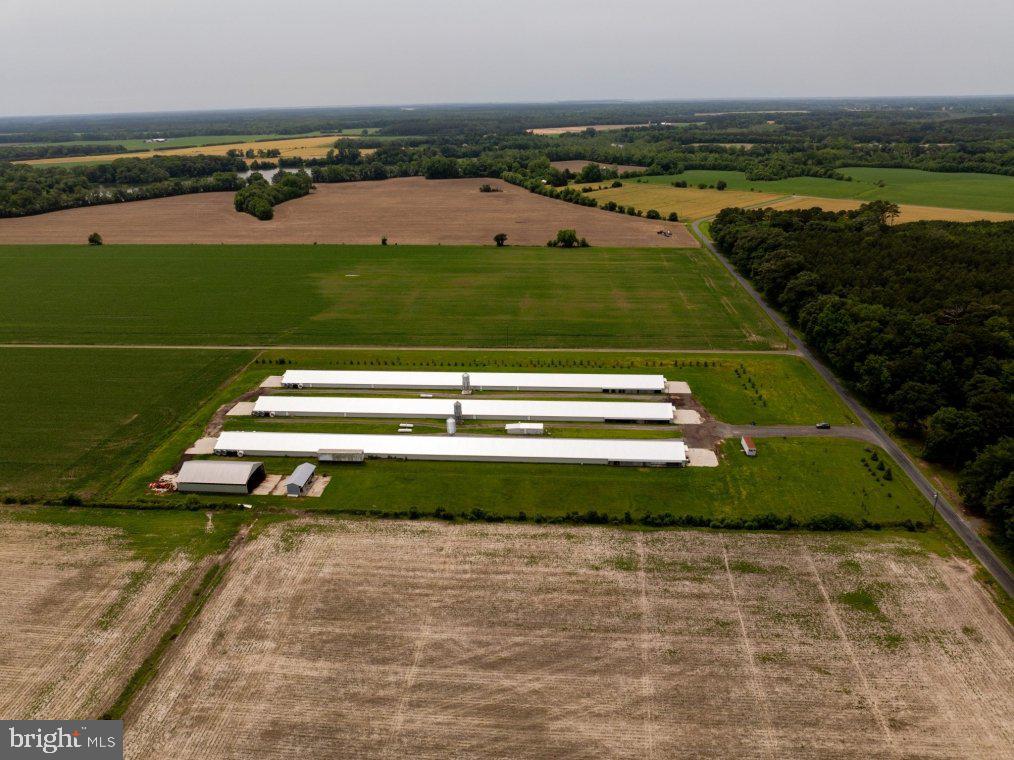 Beaver Neck Village Road Cambridge, MD 21613 - Photo 6 of 10