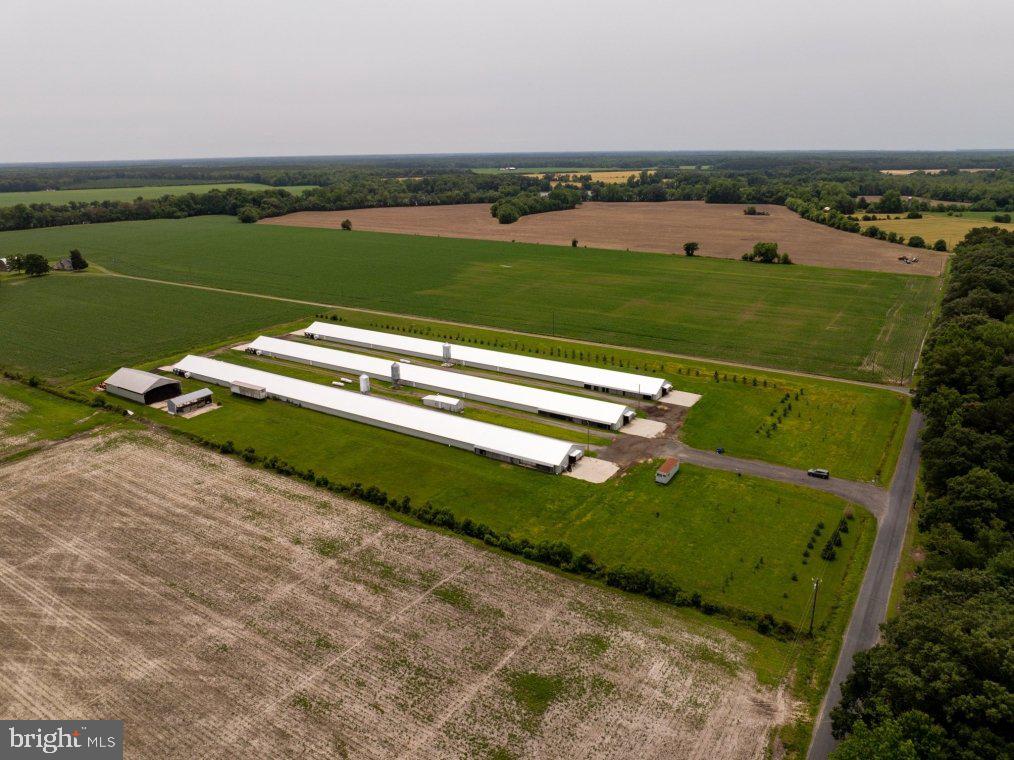 Beaver Neck Village Road Cambridge, MD 21613 - Photo 7 of 10