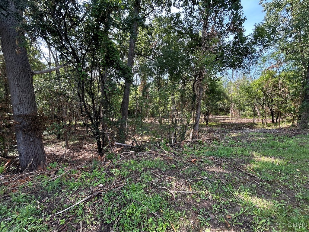 0 Ridge Road Watertown, NY 13601 - Photo 4 of 12