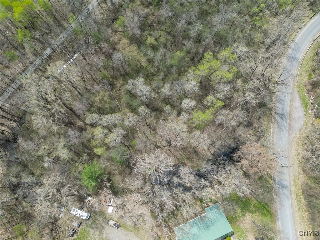 0 Ridge Road Watertown, NY 13601 - Photo 7 of 12