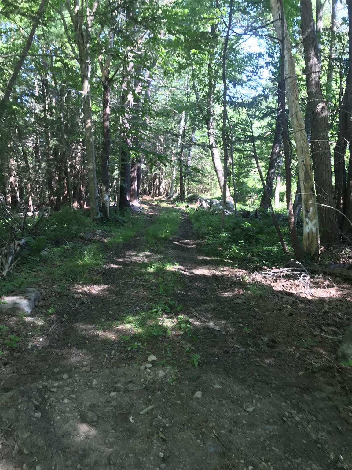 Woodland Road North Hampton, NH 03862 - Photo 12 of 14