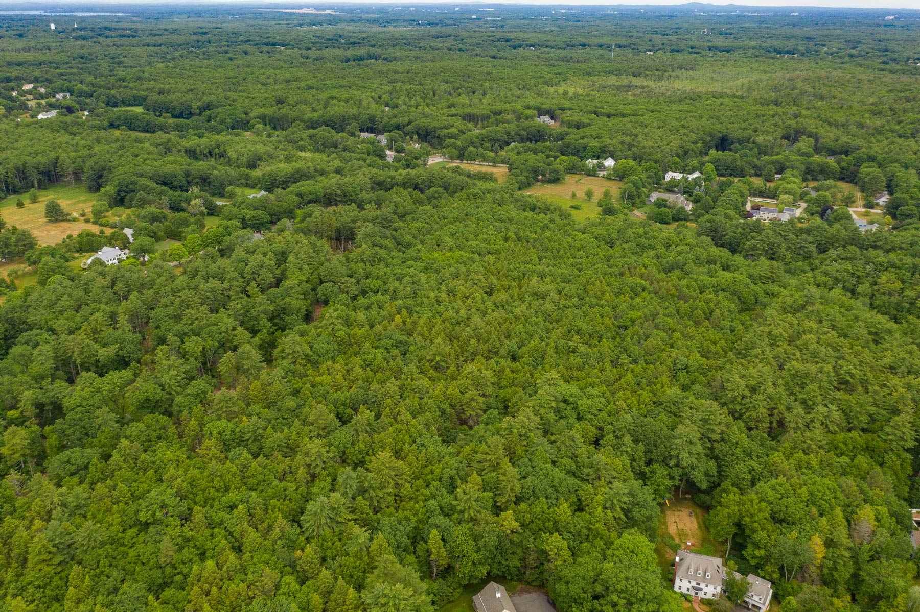 Woodland Road North Hampton, NH 03862 - Photo 8 of 14
