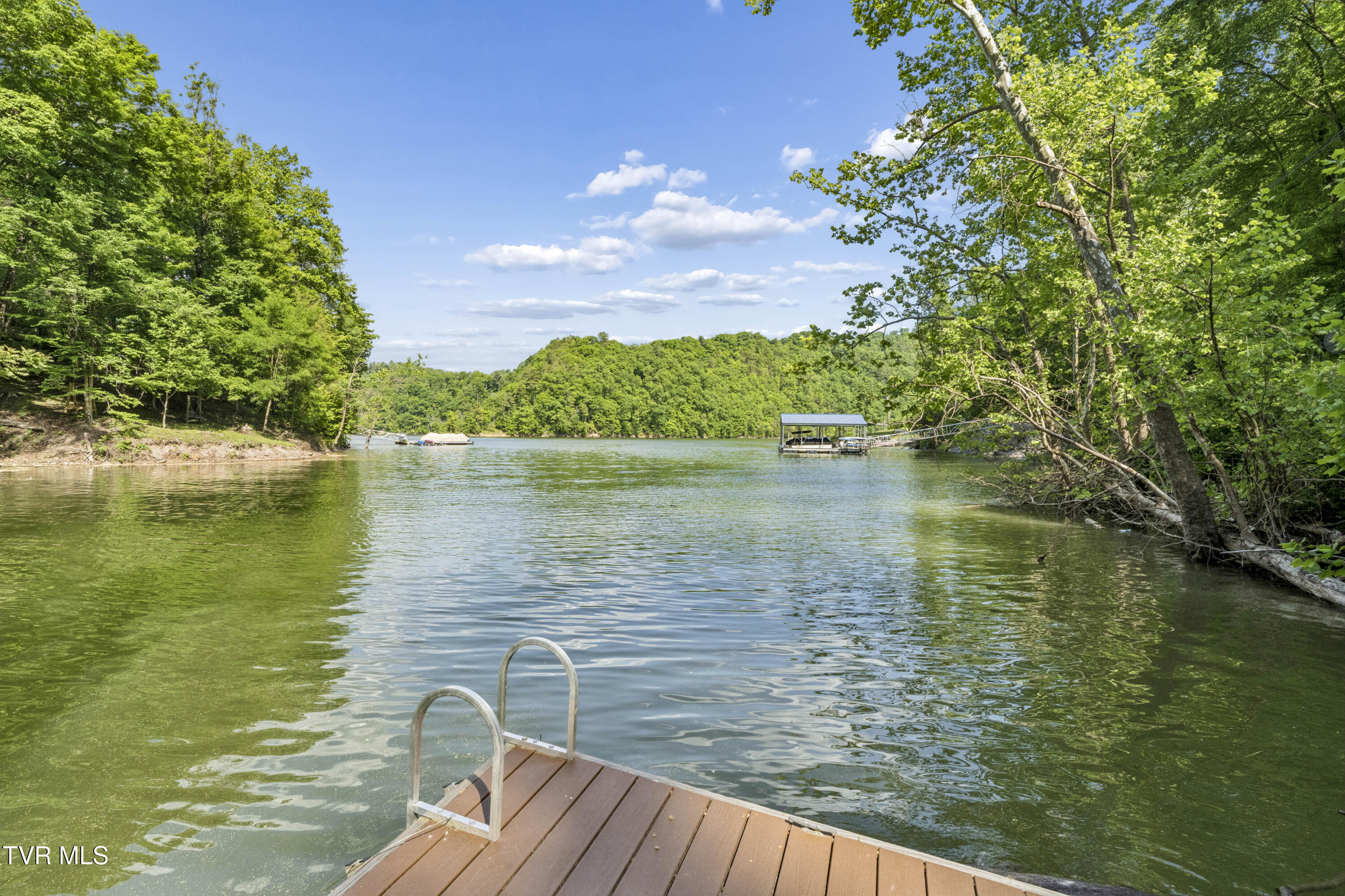 162 Cable Hollow Road Butler, TN 37640 - Photo 65 of 85 CableHollow-61