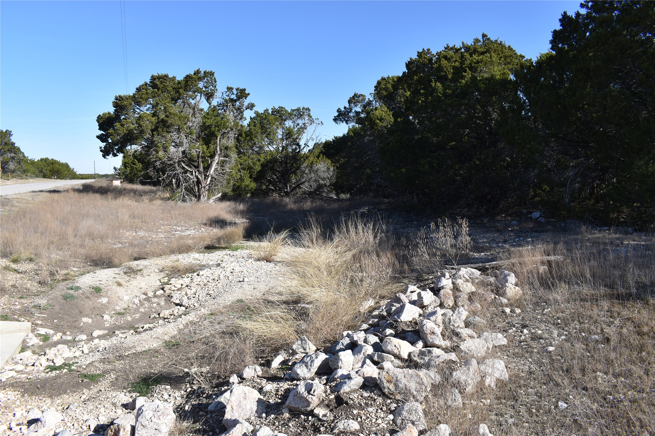 Lot 35 Riparian Elm Road Bertram, TX 78605 - Photo 1 of 14 a view of a lake from a yard