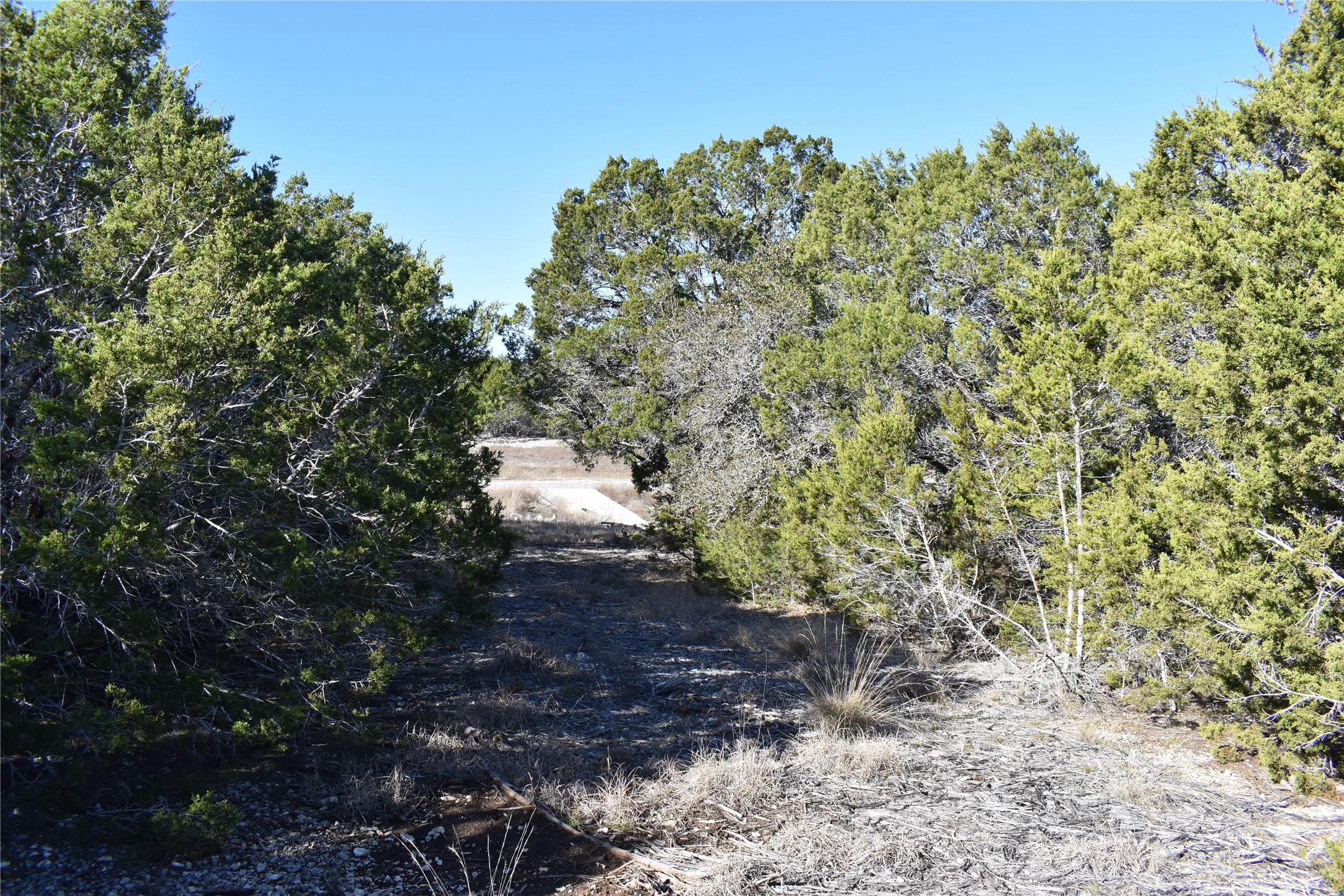 Lot 35 Riparian Elm Road Bertram, TX 78605 - Photo 3 of 14