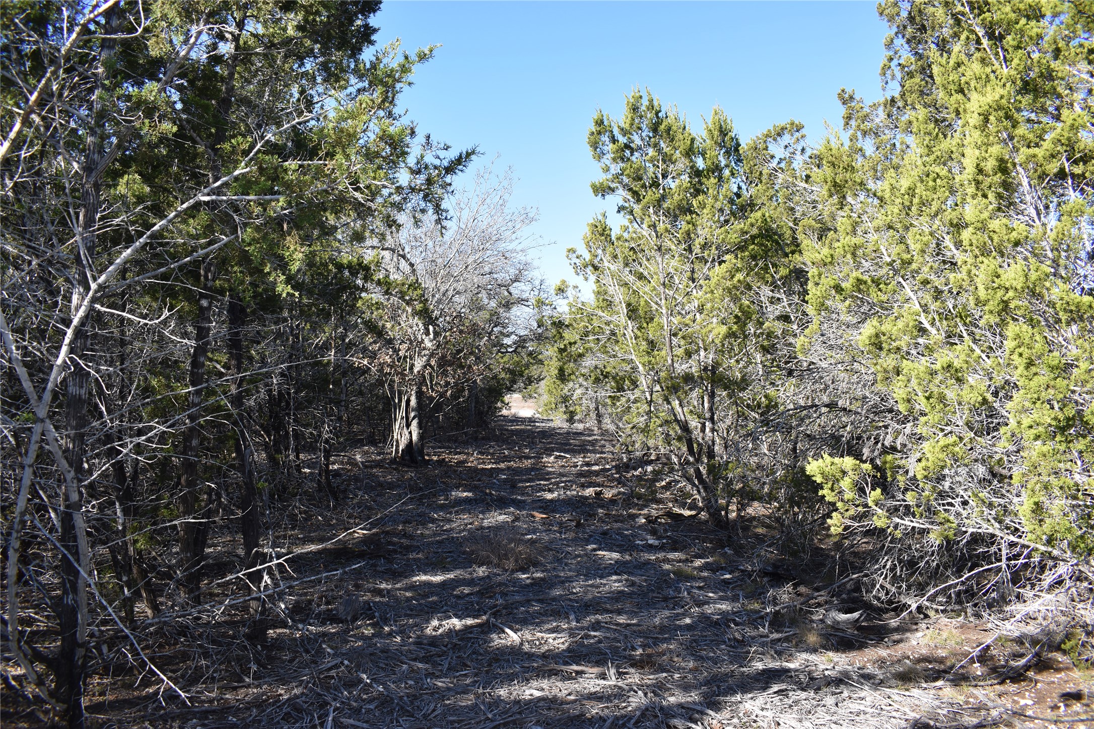 Lot 35 Riparian Elm Road Bertram, TX 78605 - Photo 4 of 14