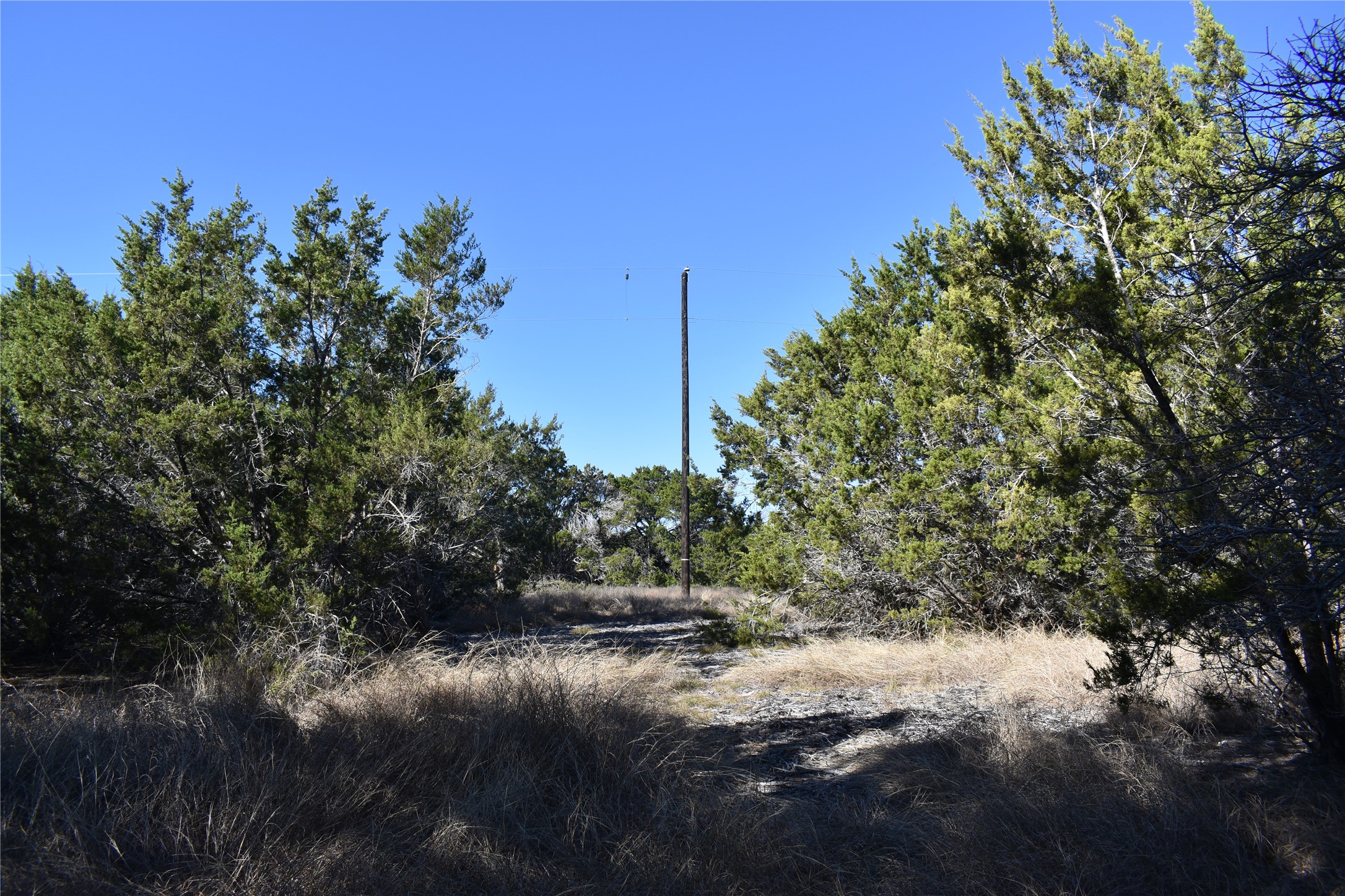 Lot 35 Riparian Elm Road Bertram, TX 78605 - Photo 9 of 14