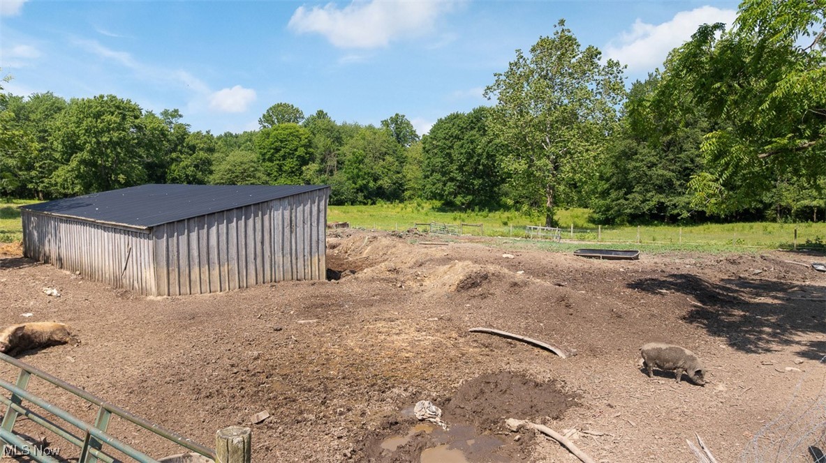 16990 Nash Road Middlefield, OH 44062 - Photo 14 of 45 View of yard with an outbuilding and a forest view