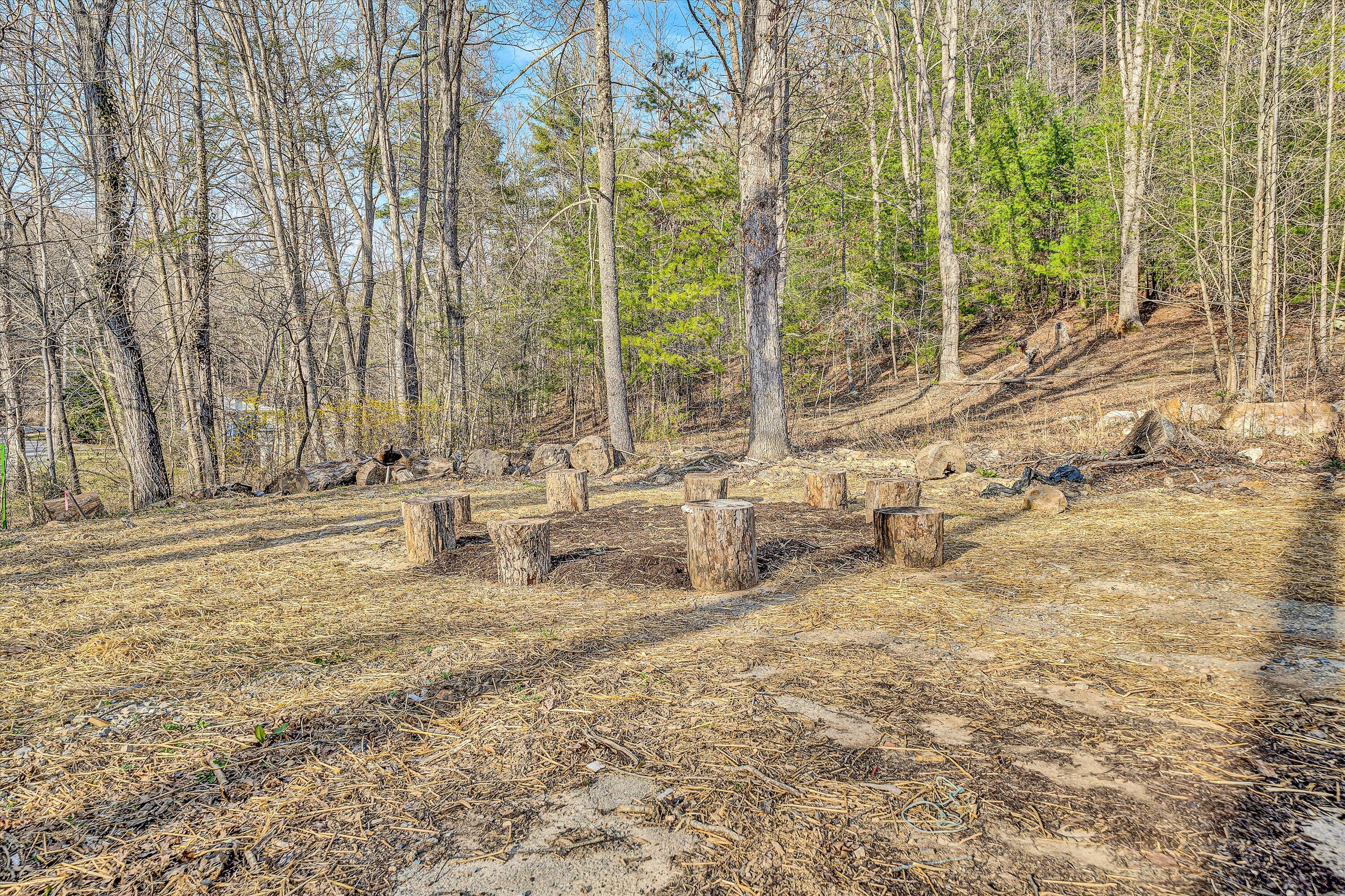 2512 Wildwood Road Salem, VA 24153 - Photo 44 of 46 44-DSC00130