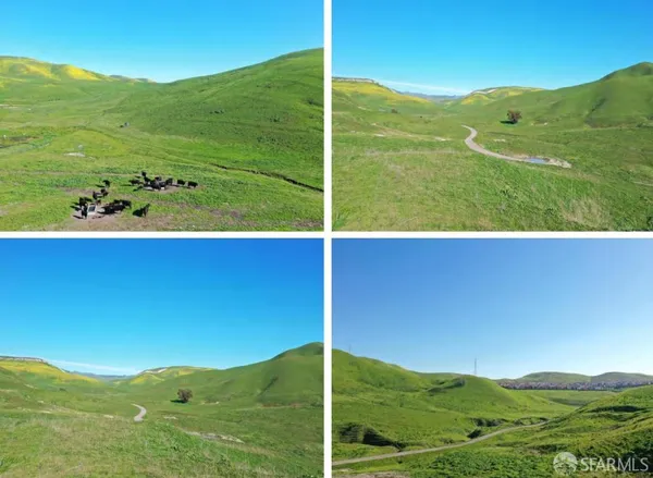 $4,200,000 | 6401 Camino Tassajara, Livermore, CA 94551