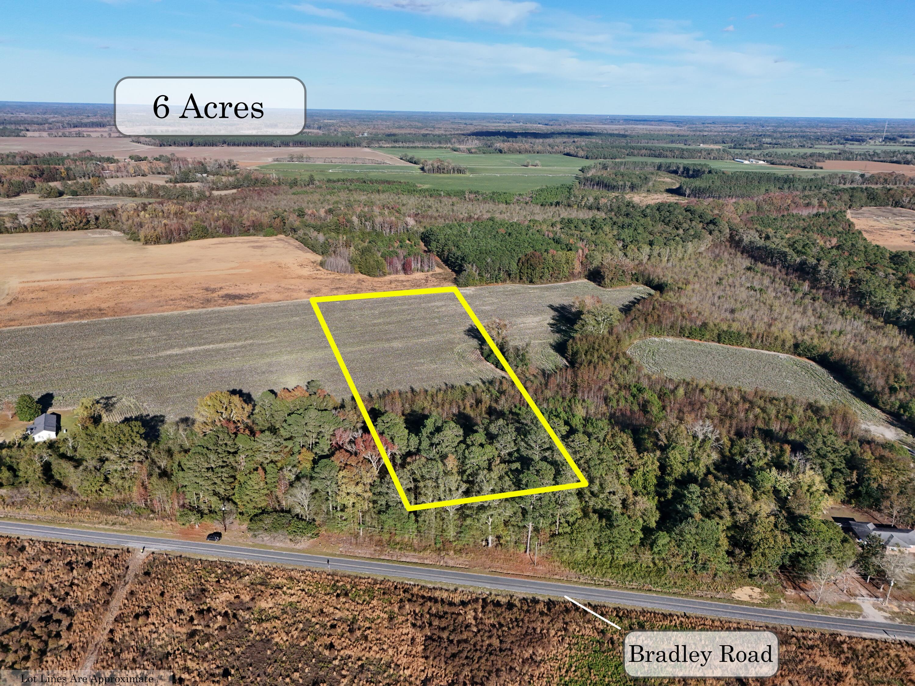 0 Bradley Road Bishopville, SC 29010 - Photo 4 of 4