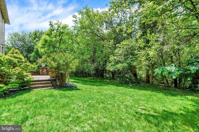 a view of a bench in a garden