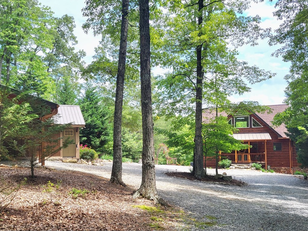 477 Boot Legger Road Morganton, GA 30560 - Photo 45 of 46