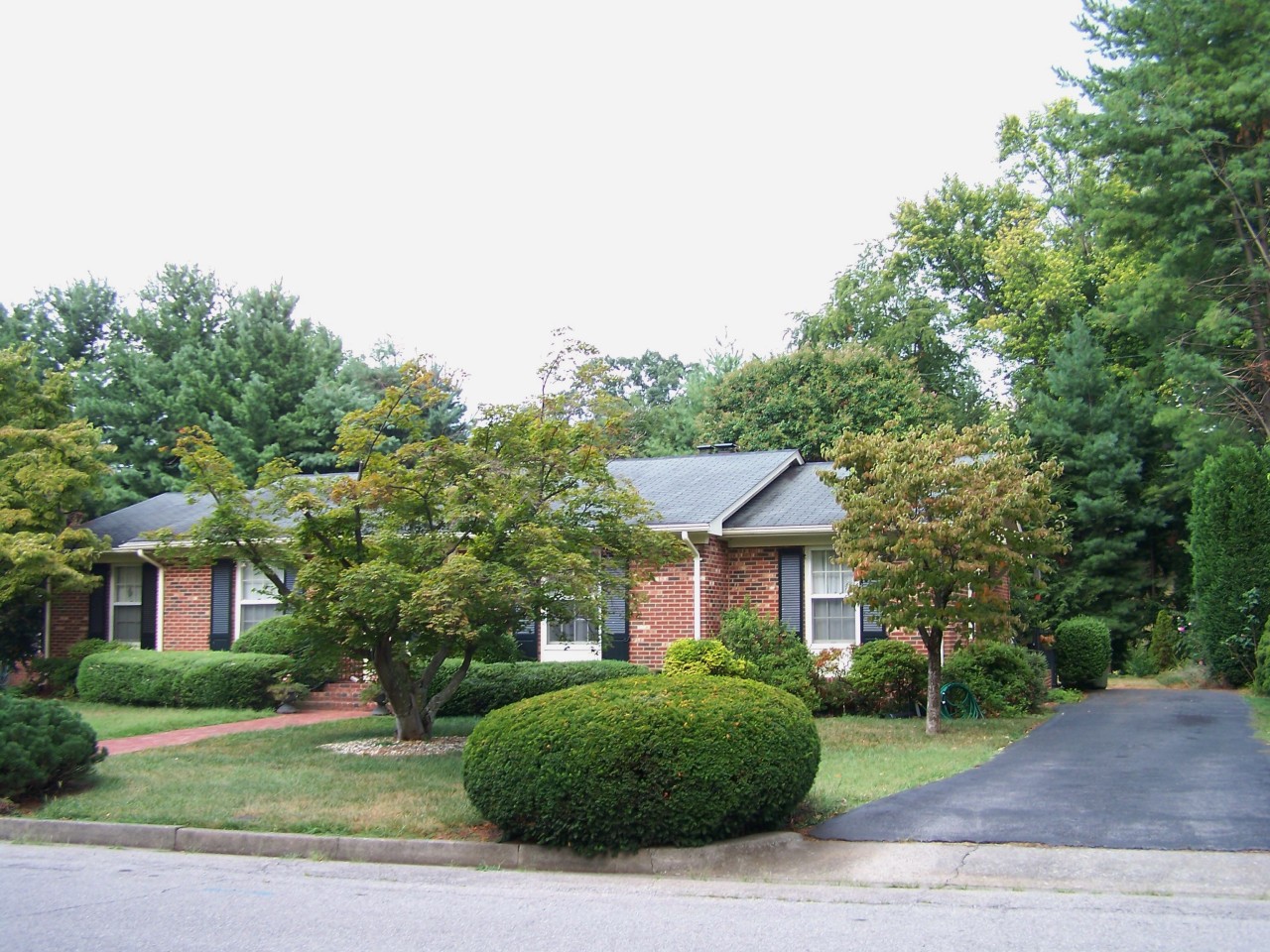 415 Highfield Road Salem, VA 24153 - Photo 3 of 44 Beautiful, Mature Landscaping