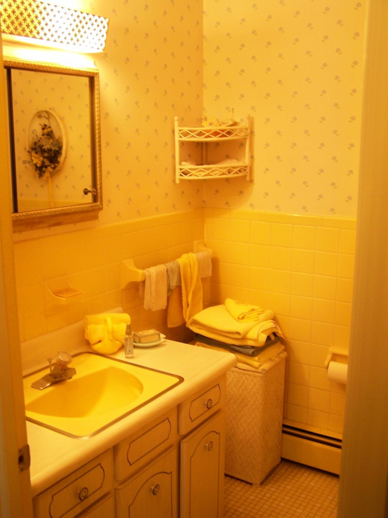 415 Highfield Road Salem, VA 24153 - Photo 22 of 44 Hallway Bathroom