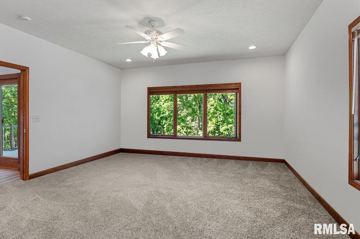 47 Woodland Trail Rochester, IL 62563 - Photo 31 of 96