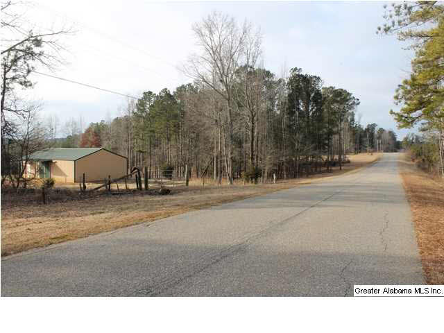 523 Pine Road, Unit 30 ACRES Daviston, AL 36256 - Photo 2 of 9