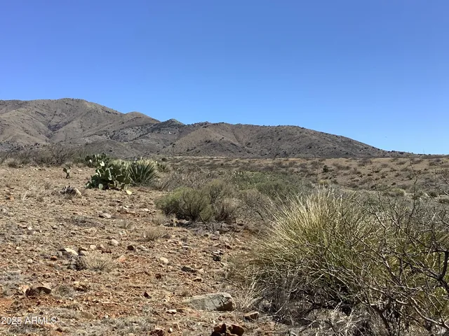 a view of a dry yard with mountains in the background
