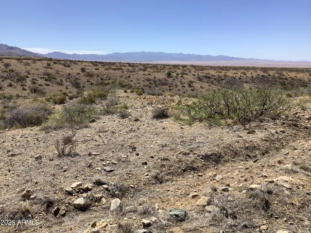 an aerial view of residential house and green space