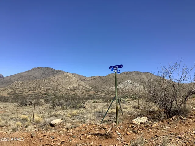 a view of a dry yard with mountains in the background