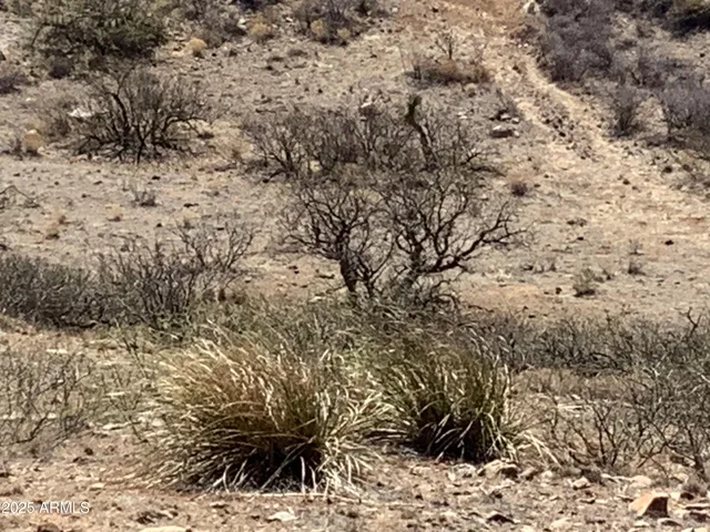 a view of a dry yard covered with snow