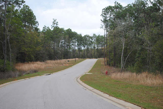 20025 Bunker Loop Fairhope, AL 36532 - Photo 7 of 15